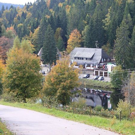 Klosterweiherhof Dachsberg im Schwarzwald Eksteriør bilde