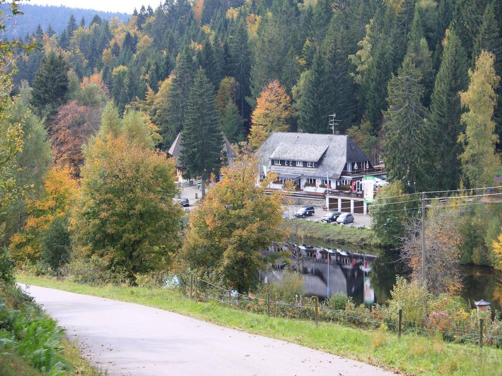 Klosterweiherhof Dachsberg im Schwarzwald Eksteriør bilde